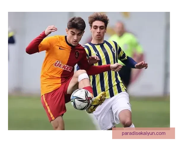 布鲁诺技术特点分析：控球能力与传球视野持续提升